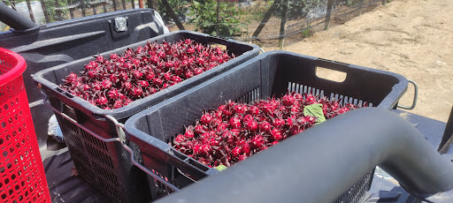 Tanjung Bidara Masjid Tanah