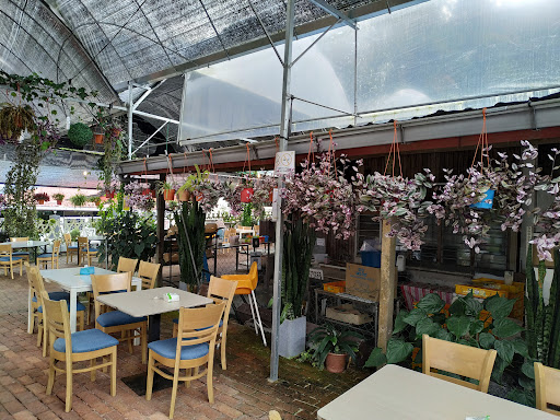 AyahMan Strawberi Cameron Highlands