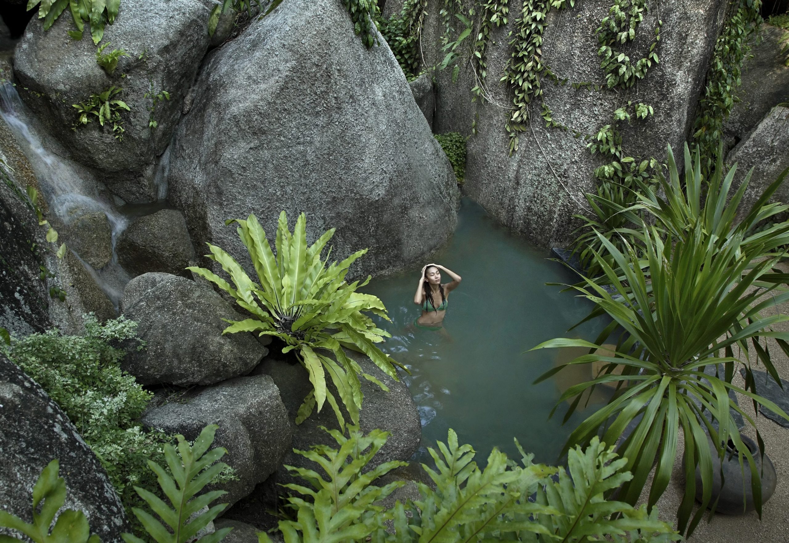 tamarind springs scaled